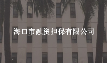 ?？谑腥谫Y擔(dān)保有限公司