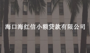 ?？诤＜t信小額貸款有限公司